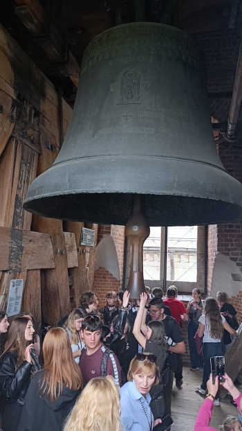 Zdjęcie WhatsApp 2025-06-01 o 14.14.48_6b7aeb8b