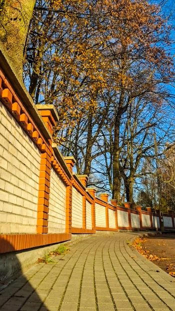 Agata Czubachowska (2)