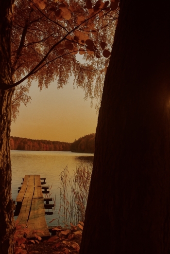 Alicja Gołuńska (2).jpeg