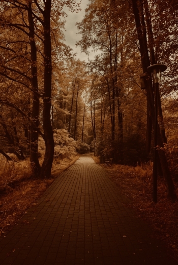 Alicja Gołuńska.jpeg