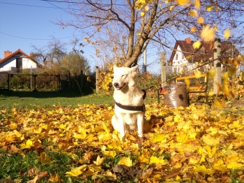 gabrysia stępniak.JPG