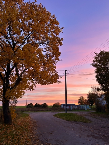 MARCELINA MAŃKOWSKA (2).jpeg