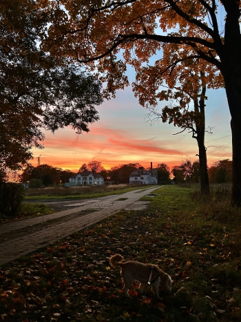 MARCELINA MAŃKOWSKA.jpeg