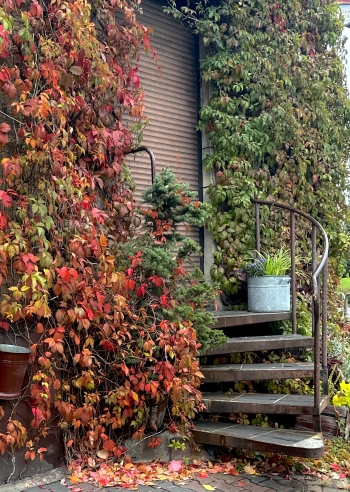 wiktoria radlińska (2).jpeg