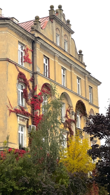 Wiktoria Radlińska.jpeg