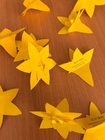 WhatsApp Image 2026-04-20 at 21.11.23.jpeg