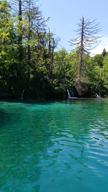 IMG-20260527-WA0014