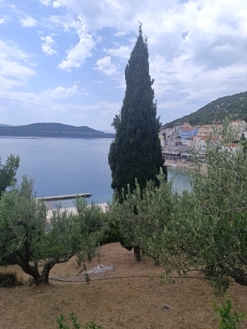 IMG-20260531-WA0026
