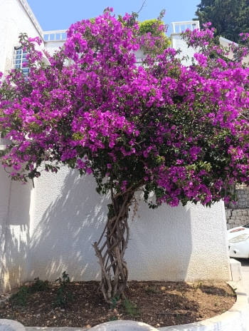 IMG-20260531-WA0025