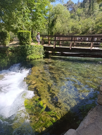 IMG-20260601-WA0016