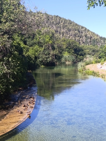 IMG-20260601-WA0015