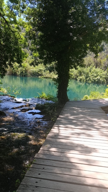 IMG-20260601-WA0024