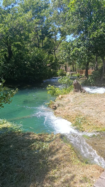 IMG-20260601-WA0034