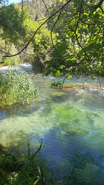 IMG-20260601-WA0030