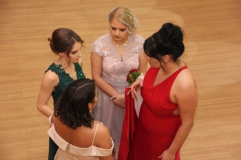 IMG_7217.JPG